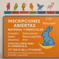 Niños en actividad
